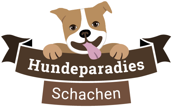 HundeParadies-Schachen-web